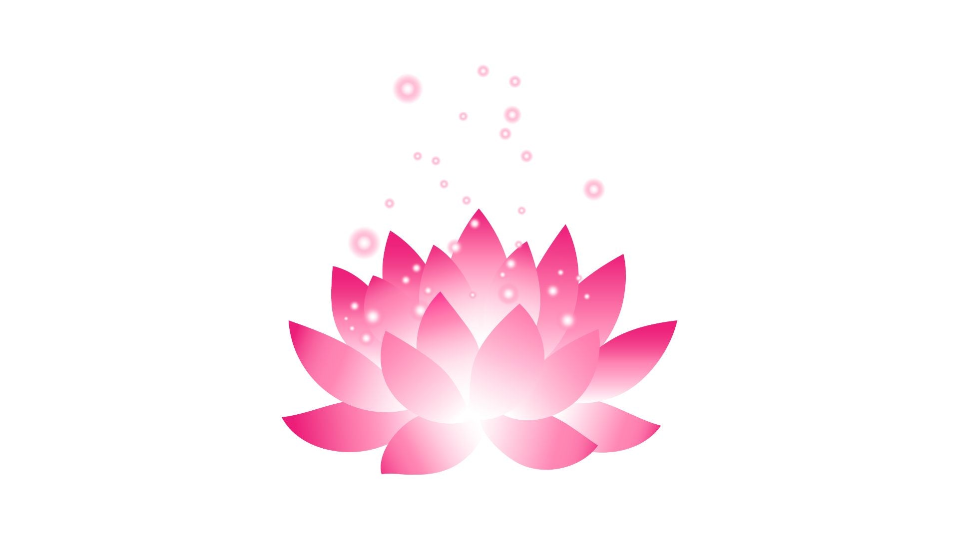 2025-2026 Lotus Discount Membership