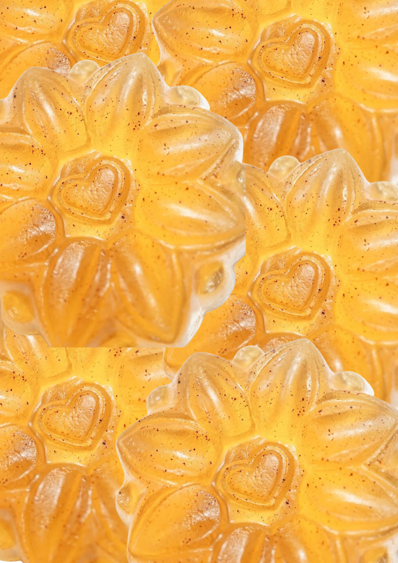 Honey Lotus Flower Bar BULK PURCHASE (Qty 5)